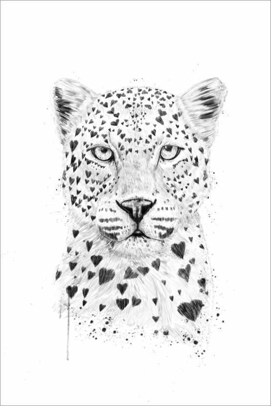 Juliste Lovely leopard