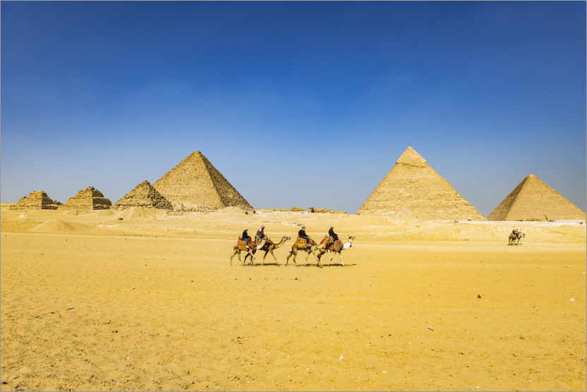 Juliste Pyramids of Giza with camel caravan
