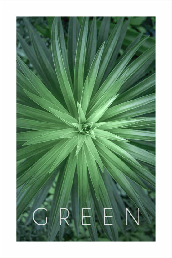 Juliste Green 1