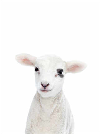 Canvas-taulu  Baby lamb - Sisi And Seb