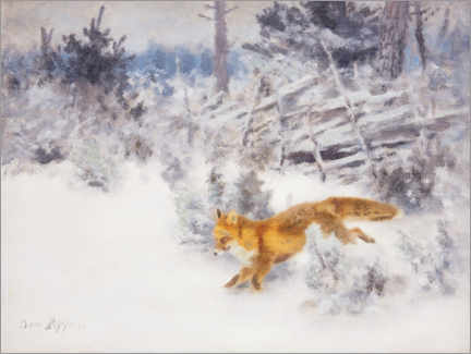 Juliste Fox in the winter landscape
