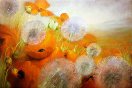 Juliste Poppy meadow with dandelions