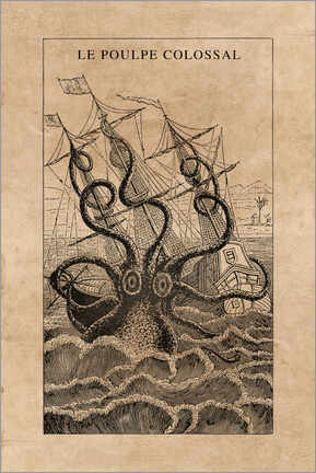 Galleriataulu  The giant octopus - Wunderkammer Collection
