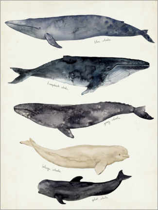 Canvas-taulu  Whale card II - Victoria Barnes