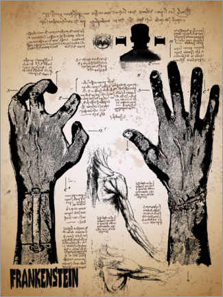 Juliste  Frankenstein - Anatomy sketches