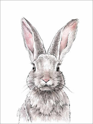 Juliste Rabbit portrait