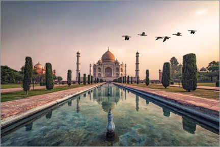 Alumiinitaulu  Good Morning Agra - Manjik Pictures