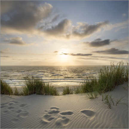 Akryylilasitaulu  Sunset on the dune beach - Jan Christopher Becke