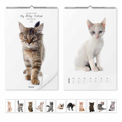 Seinäkalenteri  Cats Calendar - Itsy Bitsy Kitties 2023