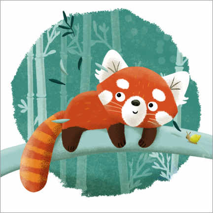 Juliste The red panda