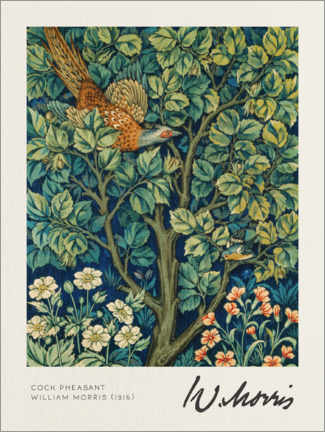 Canvas-taulu  Cock Pheasant - William Morris