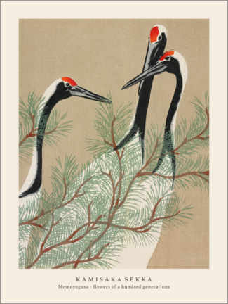 Alumiinitaulu  Cranes, Flowers of a Hundred Generations (Momoyogusa) - Kamisaka Sekka