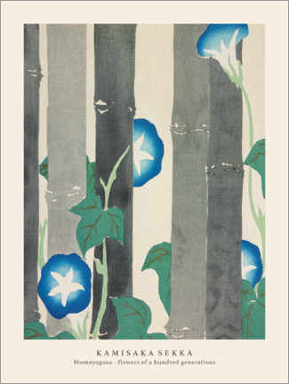 Juliste Morning Glories, Flowers of a Hundred Generations (Momoyogusa)