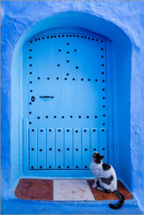 Juliste Blue door and cat, Chefchaouen, Morocco