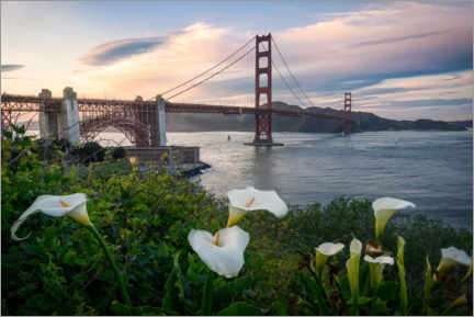 Juliste Spring at the Golden Gate Bridge