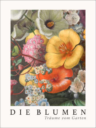 Juliste  Album Vilmorin, The Flowers VIII (German) - Elisa Champin