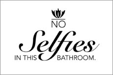 PVC-taulu  No selfies in the bathroom - Typobox
