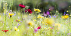 Juliste  Wildflower meadow in bloom - Lichtspielart