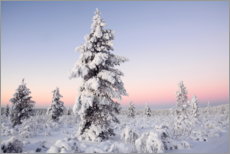 Juliste Winter landscape in Finland