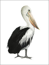 Akryylilasitaulu  Pelican - Grace Popp