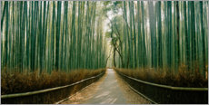 Canvas-taulu  Arashiyama bamboo grove, Kyoto