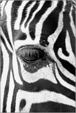 Akryylilasitaulu  Eye of the zebra - Art Couture