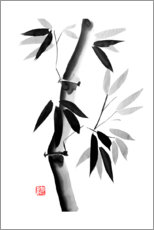 Akryylilasitaulu  Bamboos 02 - Péchane