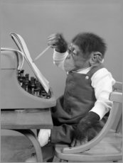 Canvas-taulu  Monkey at writing exercises