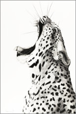 Juliste Yawning Leopard