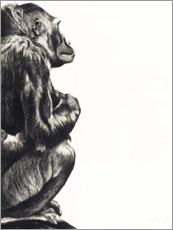 Canvas-taulu  Lady gorilla - Rose Corcoran