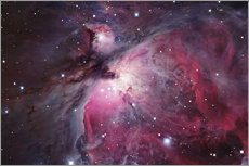 Sisustustarra  Orion Nebula - Robert Gendler