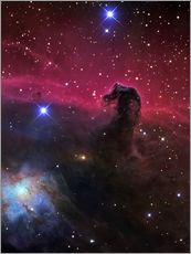 Sisustustarra  The Horsehead Nebula II - R Jay GaBany