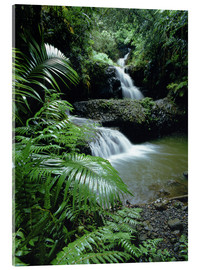 Akryylilasitaulu  Waterfall in Hawaii - Douglas Peebles