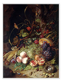 Juliste Still life with fruits and insects