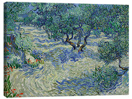 Canvas-taulu  Olive Orchard - Vincent van Gogh