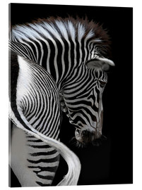 Akryylilasitaulu  african stripes II - Joachim G. Pinkawa