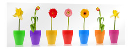Akryylilasitaulu  Spring Flower Parade - Thomas Klee