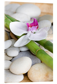 Akryylilasitaulu  Bamboo and orchid II - Andrea Haase Foto