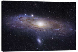 Canvas-taulu  Andromeda Galaxy - Robert Gendler