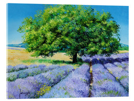 Akryylilasitaulu  Tree and Lavenders - Jean-Marc Janiaczyk