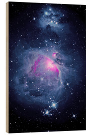 Puutaulu  Orion Nebula M 42 and Running Man Nebula - MonarchC