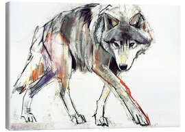 Canvas-taulu  Wolf in search - Mark Adlington