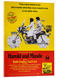 Akryylilasitaulu  Harold ja Maude