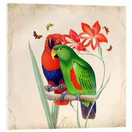 Akryylilasitaulu  Oh My Parrot I - Mandy Reinmuth