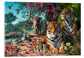 Akryylilasitaulu  Tiger Sanctuary - Steve Read