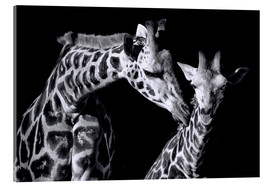 Akryylilasitaulu  Mother and child giraffe - Sabine Wagner