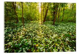 Akryylilasitaulu  Spring forest - Dave Derbis
