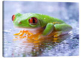 Canvas-taulu  suspicious frog
