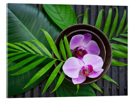 Akryylilasitaulu  Tropical Zen Orchid - Andrea Haase Foto