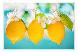 Juliste Lemons